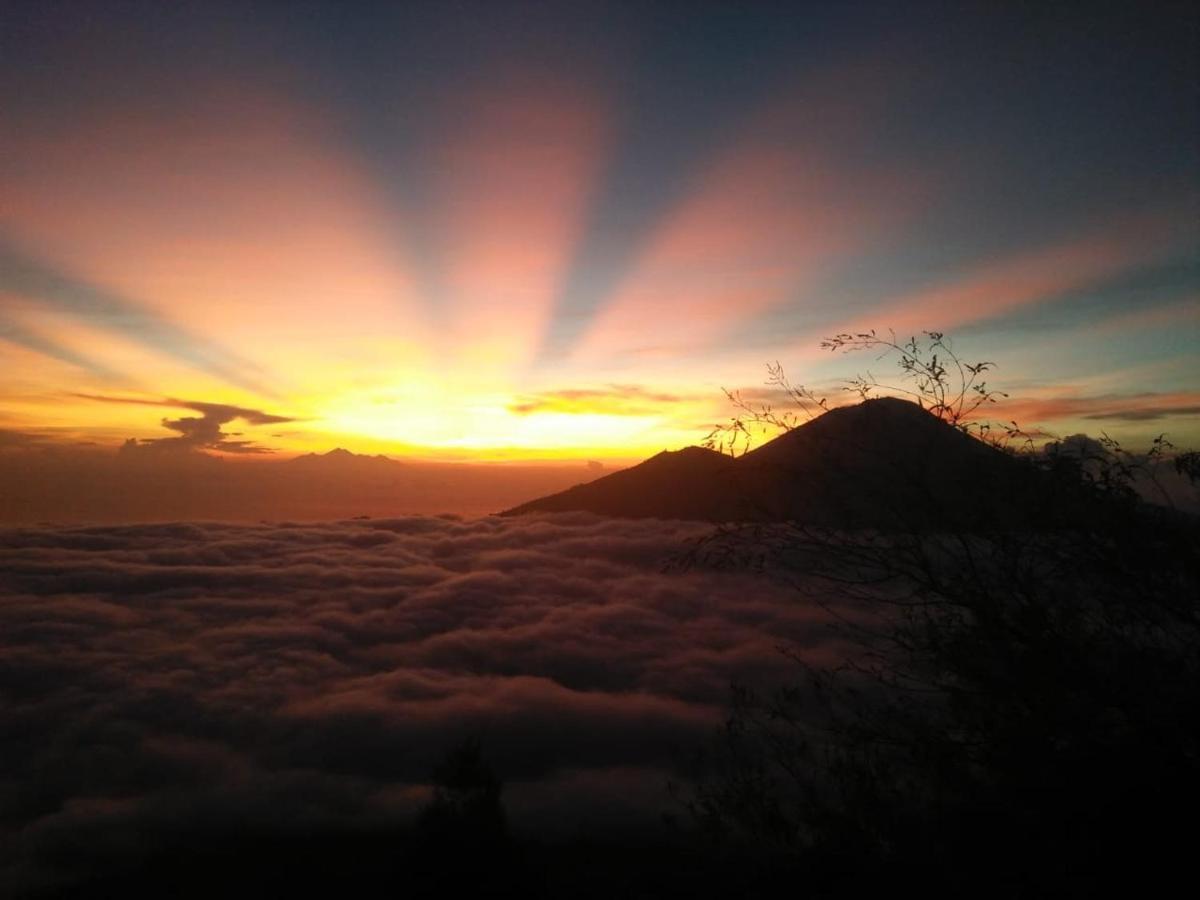 Batur Green Hill Kintamani  Exterior photo